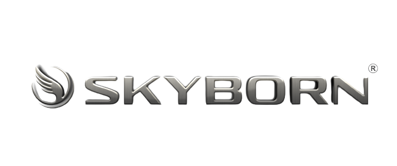 Skyborn Logo